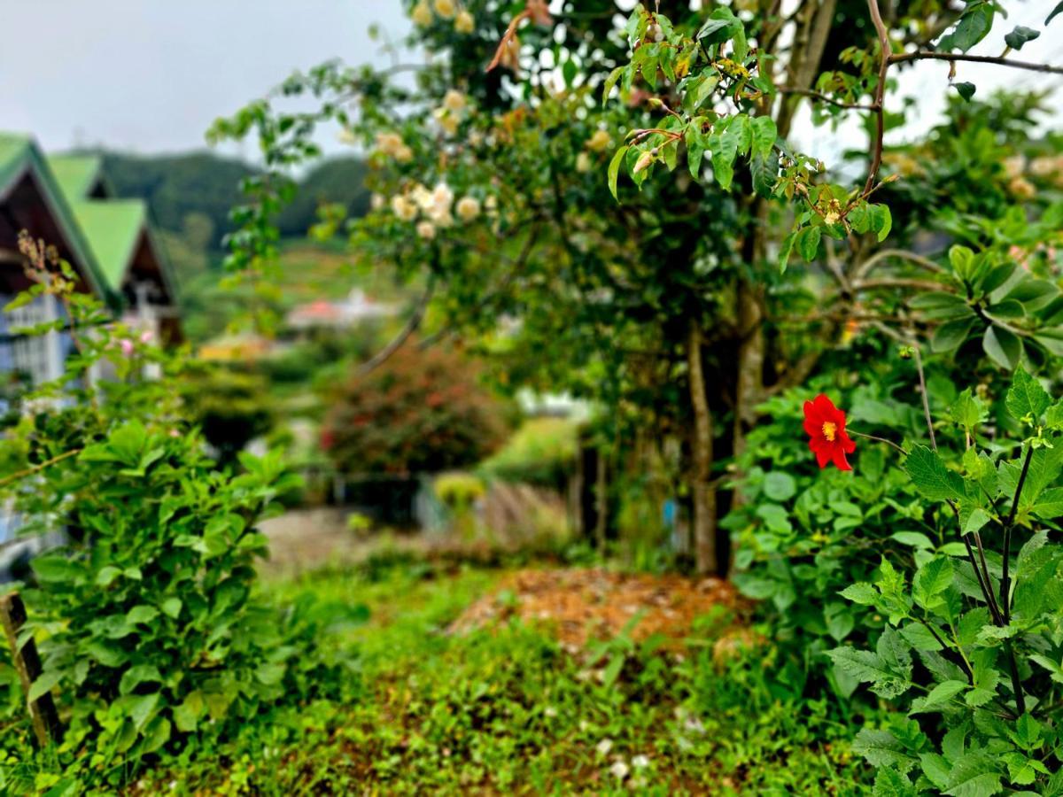 Haven Chalet Nuwara Eliya Esterno foto